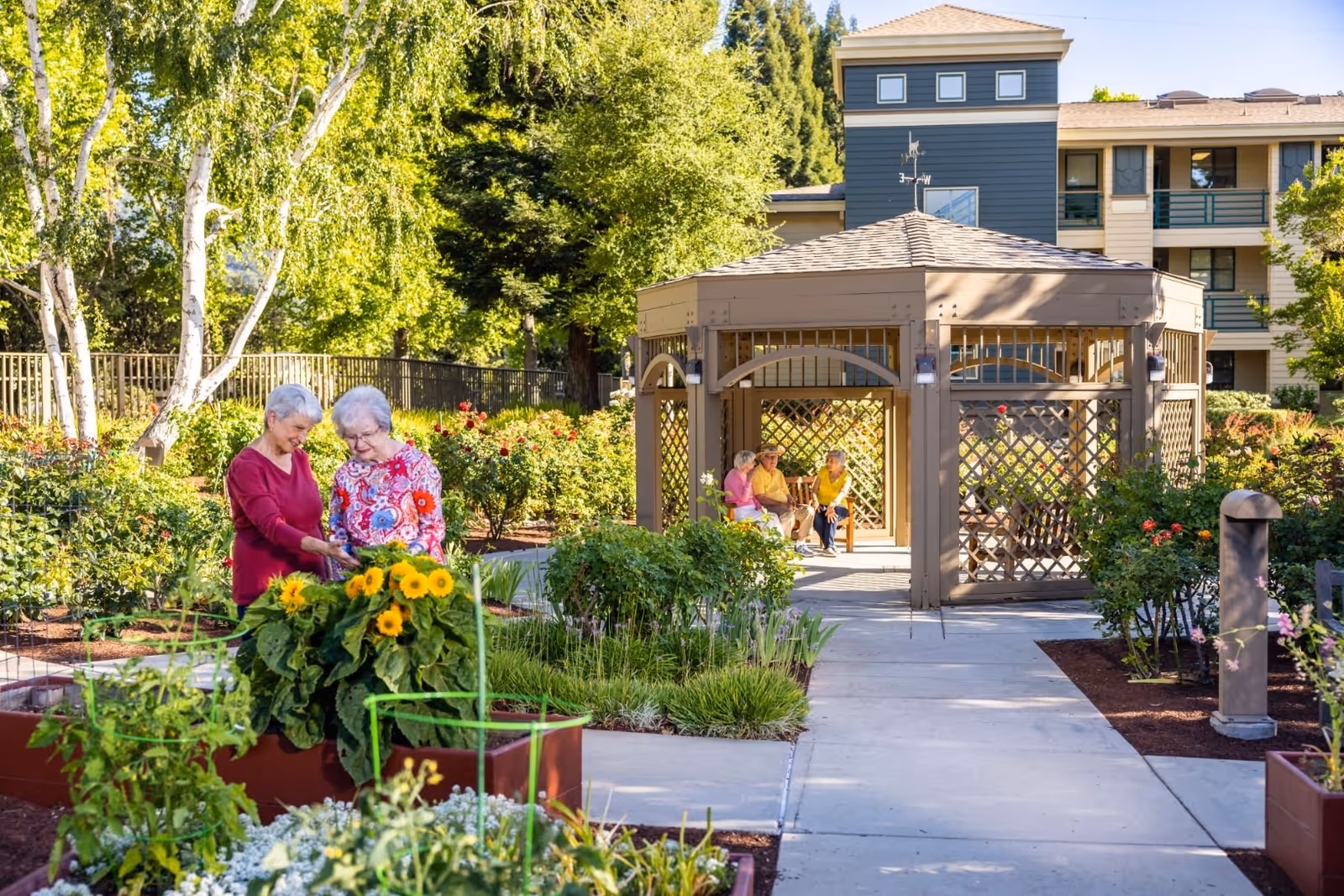 Two elderly women standing and looking at plants in a garden with sunflowers in the foreground. In the background, three elderly women are sitting and chatting inside a wooden gazebo. The scene is set in a well-maintained outdoor garden area with trees, bushes, and a multi-story building visible behind the gazebo.