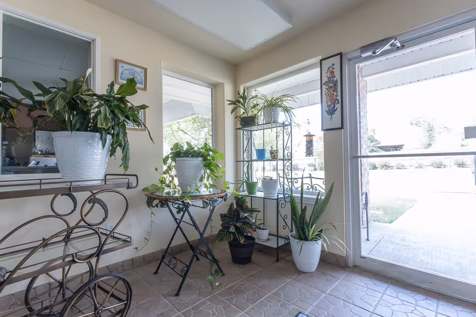 A bright indoor corner with several potted plants placed on a metal plant stand, a small round table, and a decorative metal cart. There is a large window and a glass door letting in natural light, with a view of the outdoor greenery. The walls are light-colored and there are framed pictures hanging on the wall.
