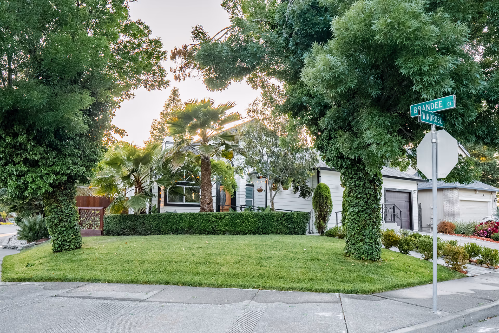 A residential street corner with a well-maintained lawn and various trees, including palm trees and large leafy trees. A white house with a garage is visible in the background. A street sign at the corner reads 'BRANDEE CT' and 'WINDROSE'.