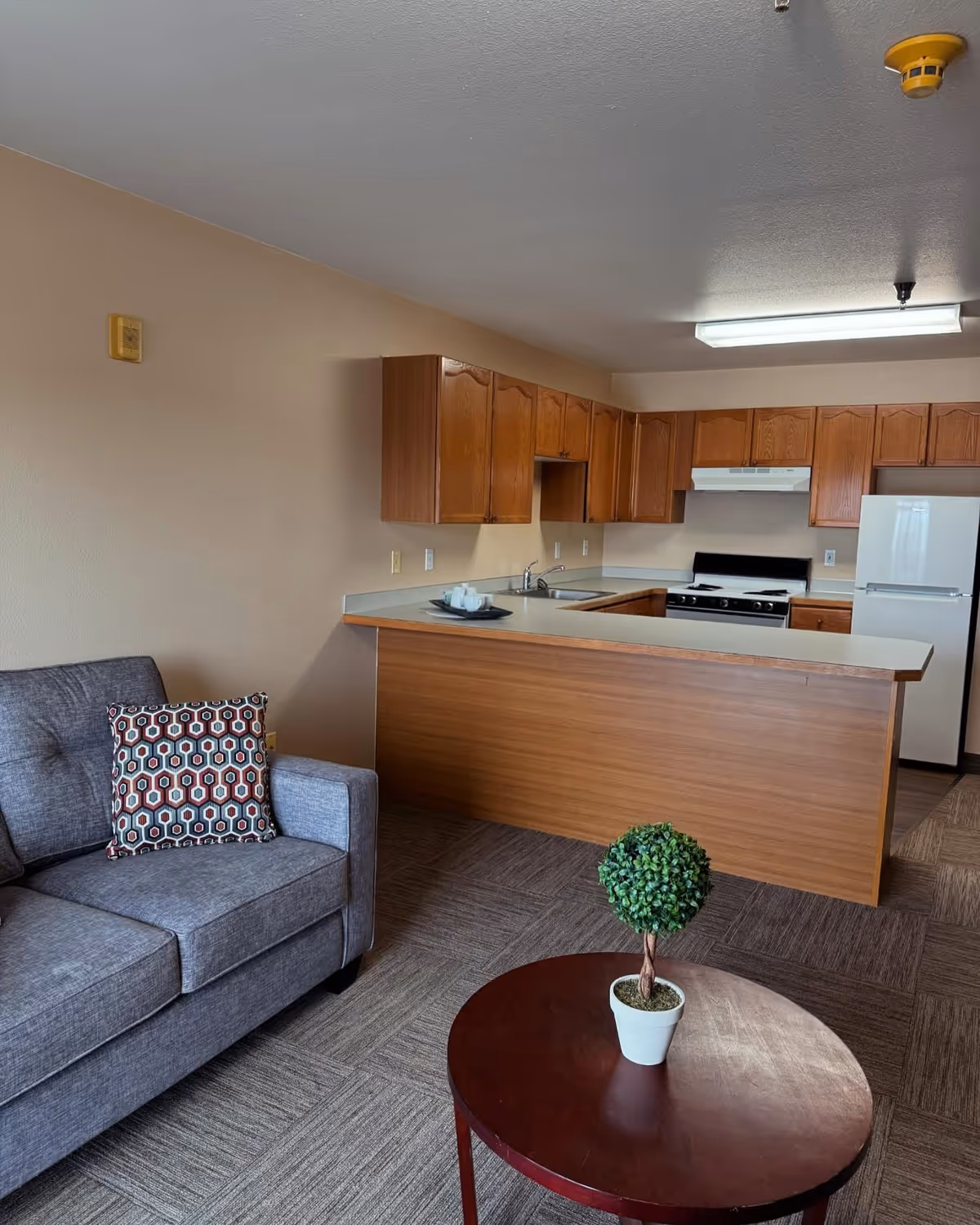 Open-plan living area with a gray sofa and patterned pillow, round coffee table with a small potted plant, and a wood-cabinet kitchen with stove and refrigerator.
