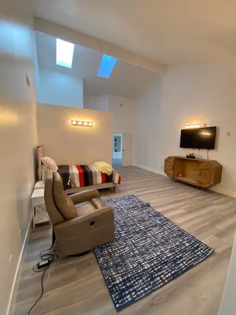 Bright studio-style bedroom with a bed, recliner, wall-mounted TV on a wooden console, skylights, and a patterned rug.