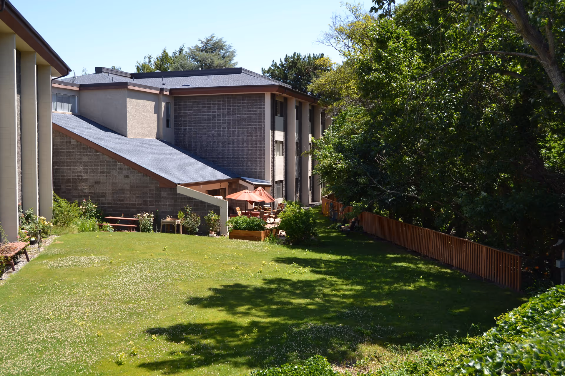 Outdoor view of Cherry Heights Living facility showing a grassy lawn with scattered small white flowers, a wooden fence along the right side, and a patio area with orange umbrellas and seating. The building has a beige and brown exterior with multiple windows, surrounded by trees and greenery under a clear blue sky.
