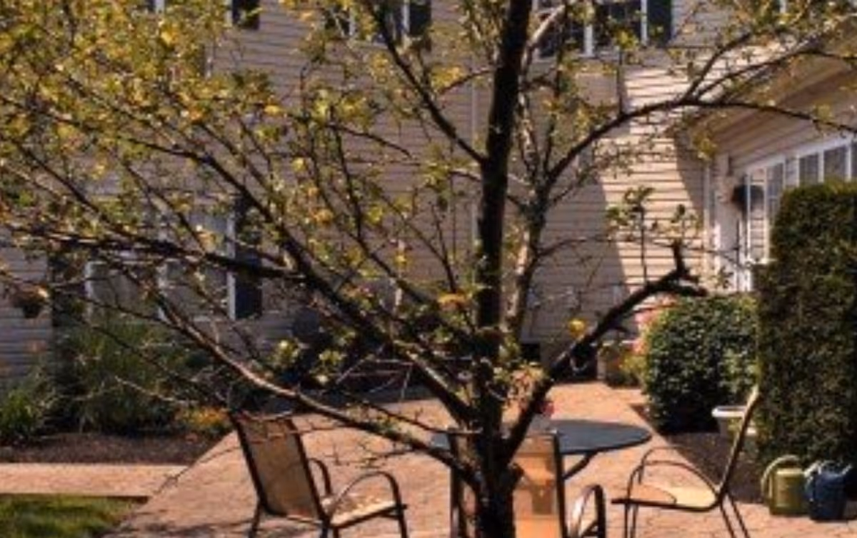 Small outdoor patio with a young tree, round table and metal chairs in front of a beige-sided building.