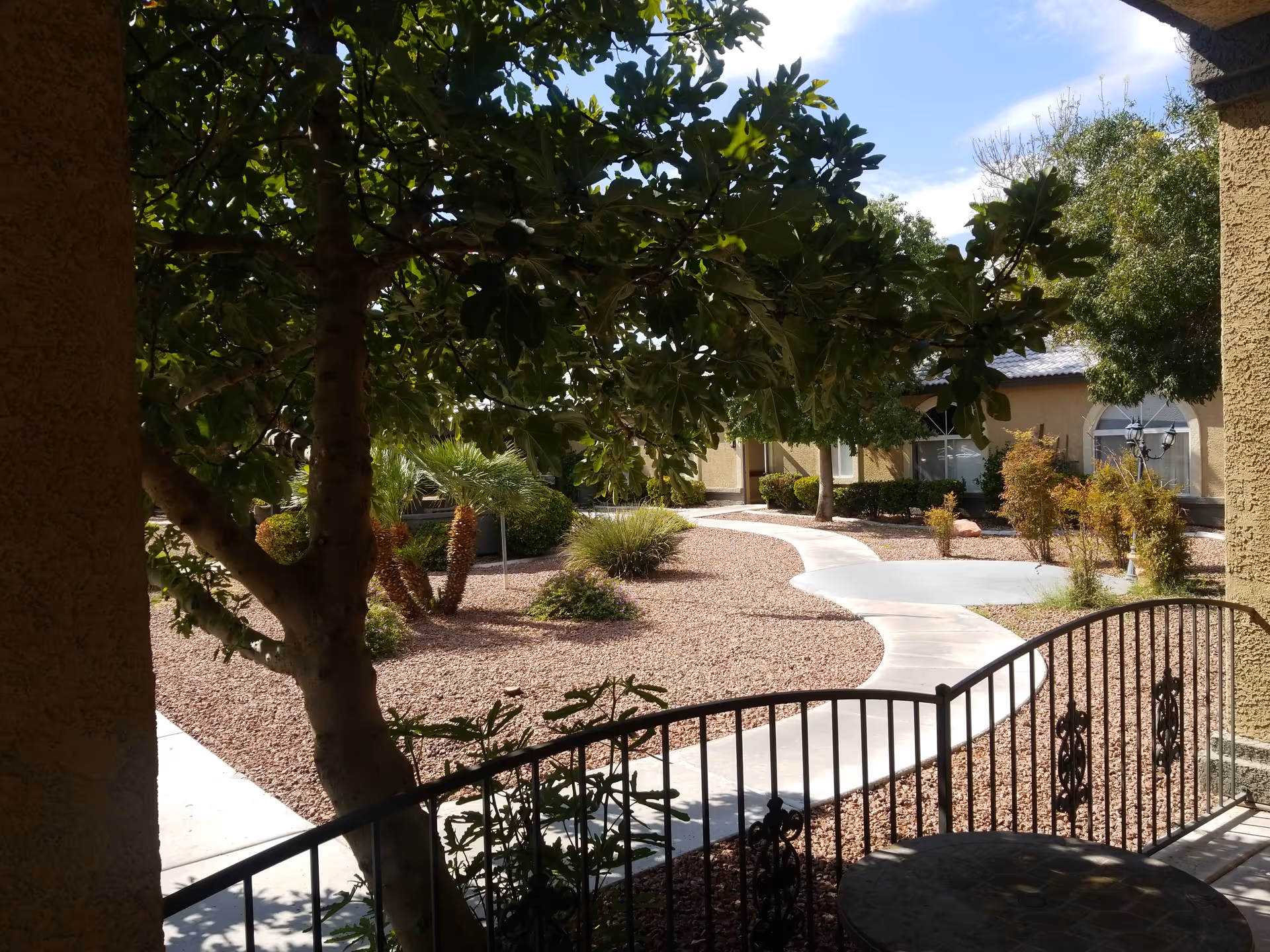 Curving concrete path through a landscaped courtyard with trees and a single-story assisted living building in the background.