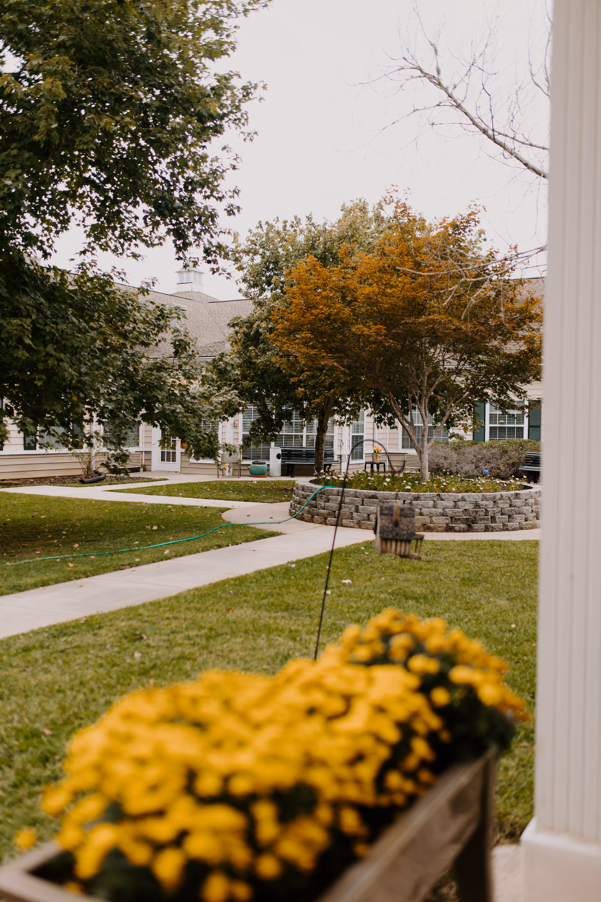 Outdoor courtyard area of a senior living facility with green grass, a concrete walkway, trees with autumn foliage, a raised circular flower bed made of stone blocks, benches, and a planter with yellow flowers in the foreground.