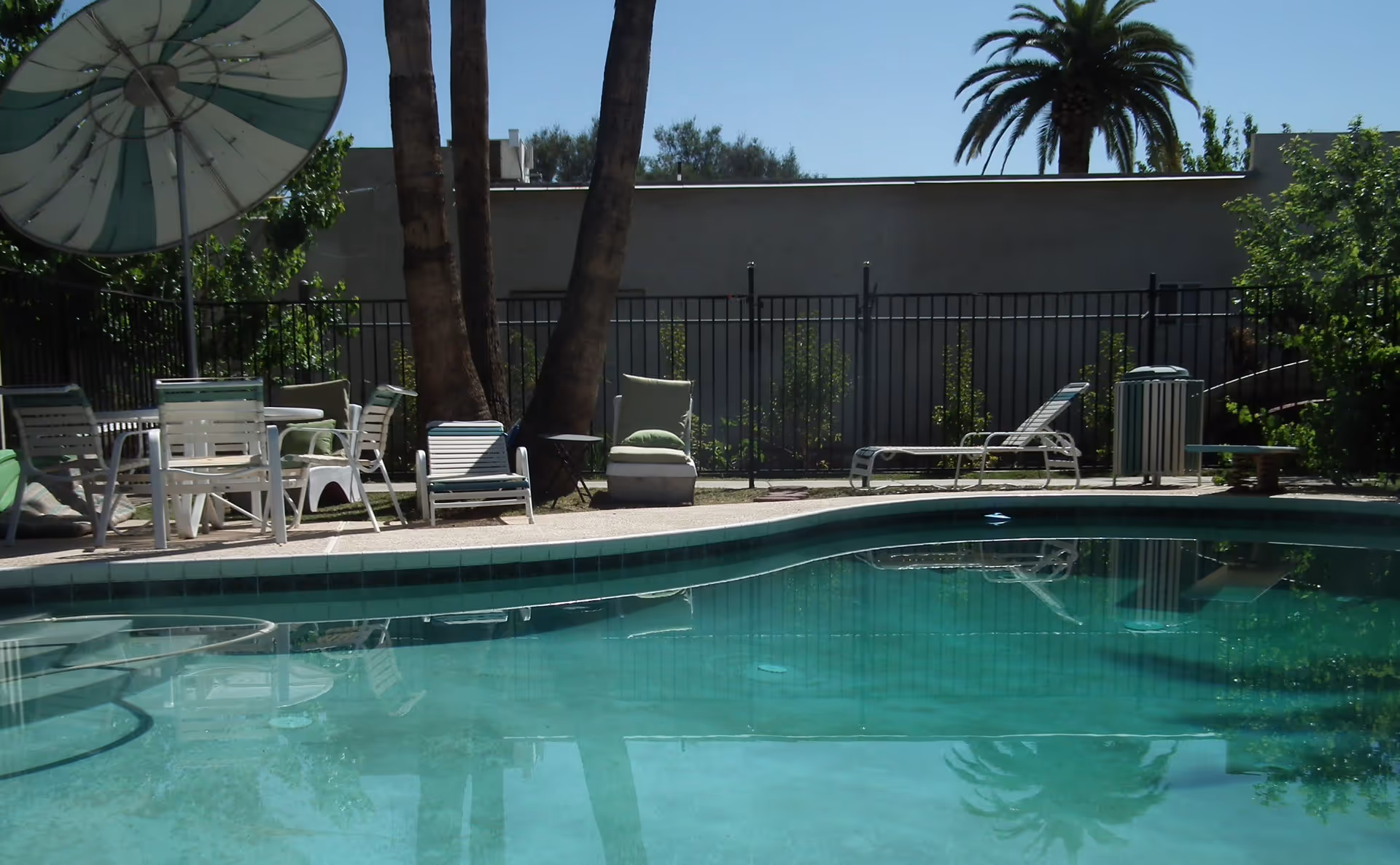 Outdoor swimming pool area with several lounge chairs and a large umbrella. Palm trees and other greenery surround the pool, with a fence and a building wall in the background under a clear blue sky.