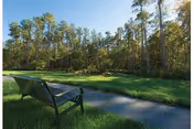 A bench beside a paved path overlooking a grassy lawn and tall pine trees under a clear sky.