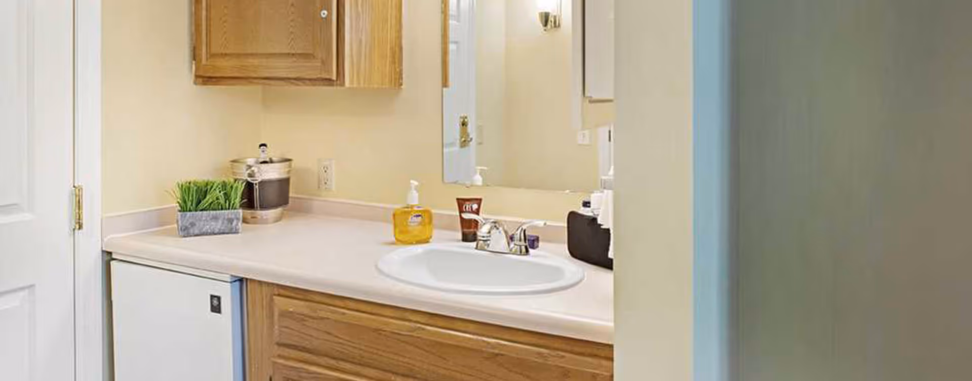A bathroom vanity area with a white sink, wooden cabinets, a small potted plant, a soap dispenser, and a mirror above the sink. The walls are painted light yellow and there is a white door to the left.