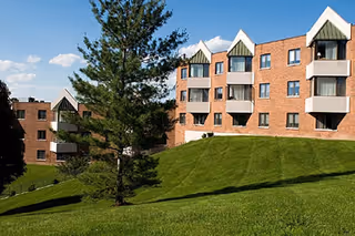 Brick multi-story residential building with balconies behind a sloping grassy lawn and a pine tree under a blue sky.