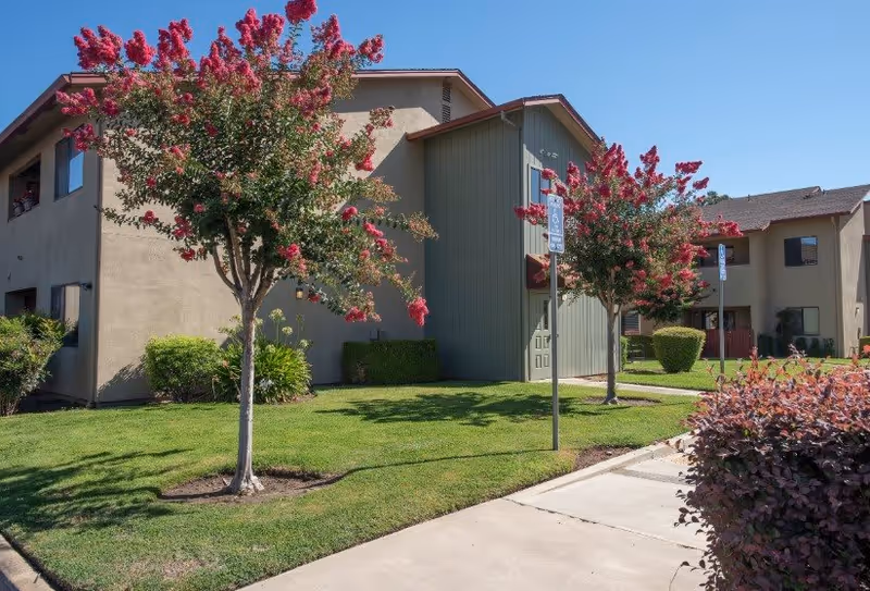 Exterior view of a senior living facility building with beige and green walls, surrounded by green grass, bushes, and trees with pink flowers under a clear blue sky.
