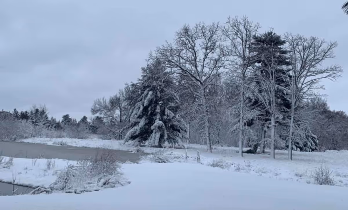 Snow-covered landscape with trees and a small body of water under a cloudy sky.