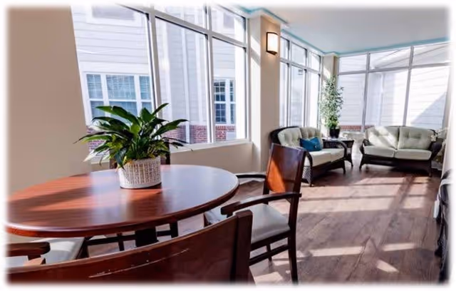 A bright and airy sitting area with large windows letting in natural light. The room features a round wooden table with a potted plant on it and several wooden chairs with cushions. In the background, there are two cushioned sofas with throw pillows and a tall potted plant near the corner windows.