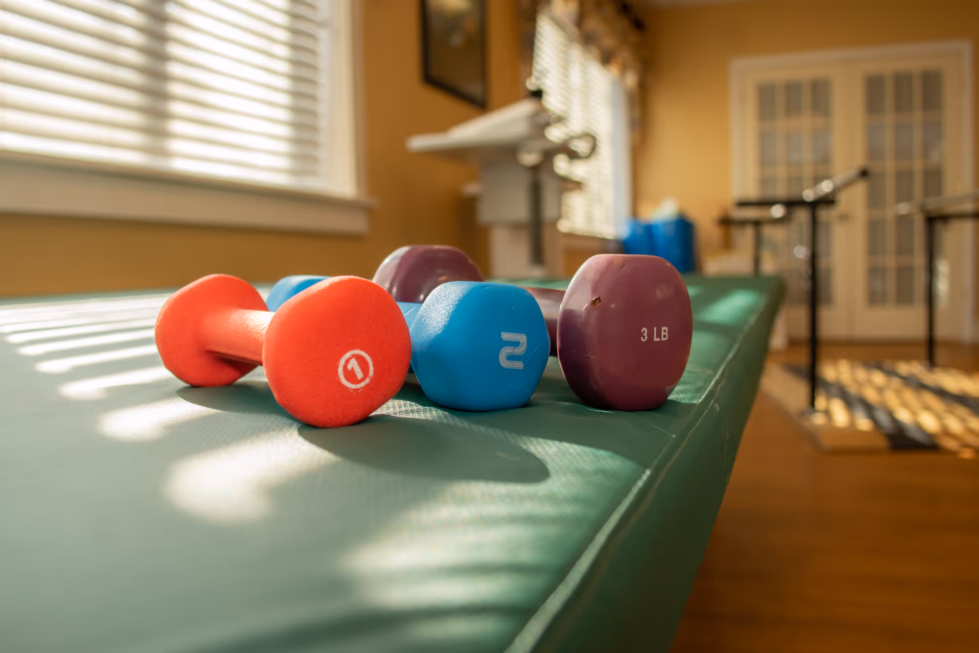 Colorful small dumbbells arranged on a green exercise mat in a sunlit fitness/therapy room.