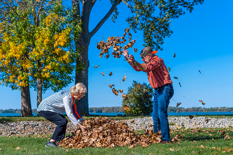 An elderly man and woman playing with a pile of fallen autumn leaves outdoors on a sunny day. The man is tossing leaves into the air while the woman is gathering leaves from the ground. Trees with yellow and green leaves and a body of water are visible in the background under a clear blue sky.