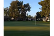 A golf green with a flagstick in the foreground and trees and residential buildings under a clear sky.