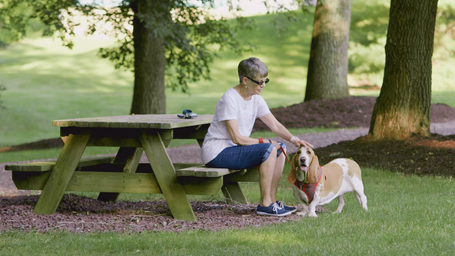 A woman sits on a picnic table bench in a grassy park area petting a basset hound dog.