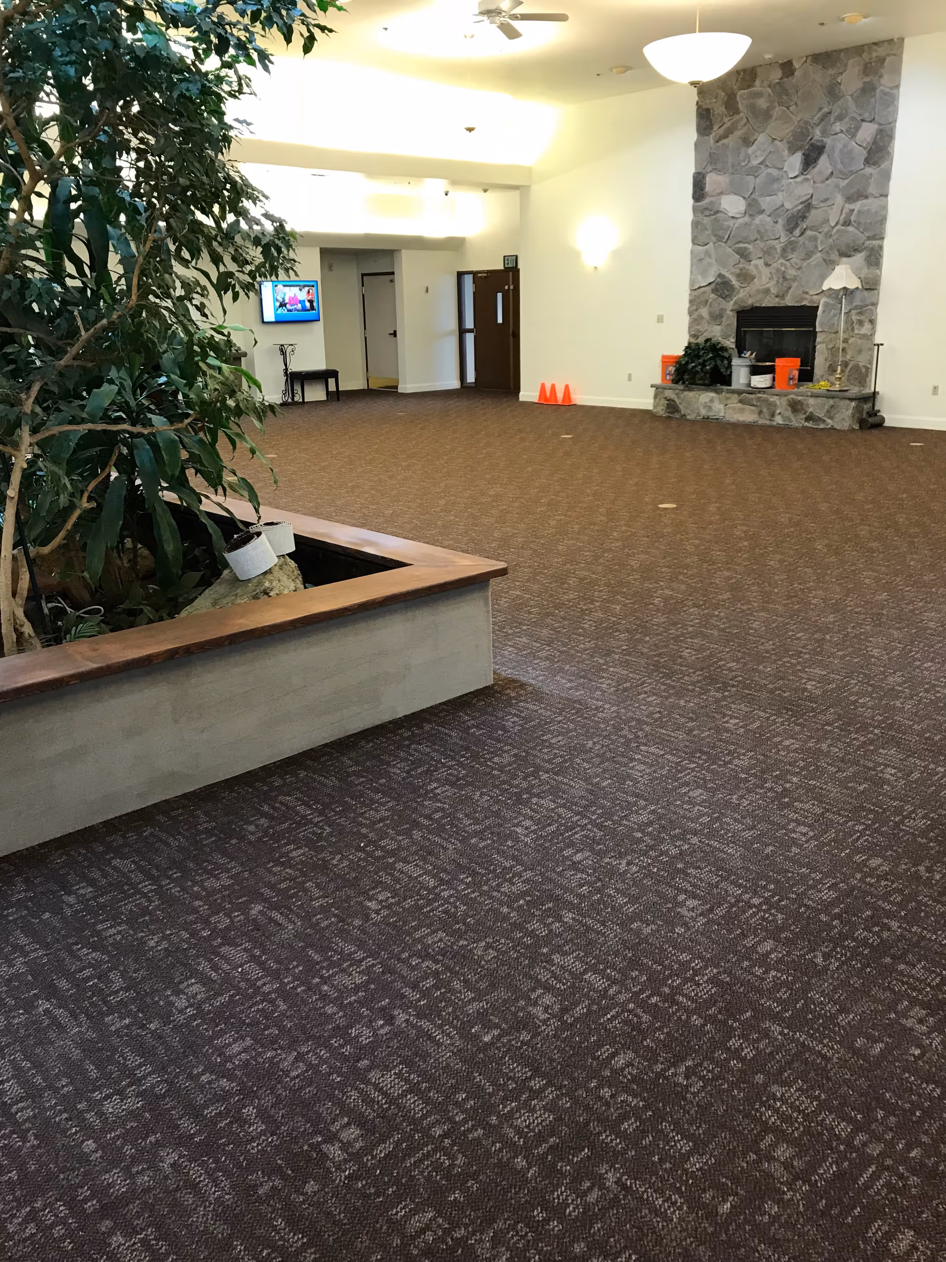 A spacious interior room with brown patterned carpet, a stone fireplace on the right wall, and a large indoor plant in a raised planter on the left. There is a ceiling fan and a hanging light fixture above, a small TV mounted on the far wall, and an exit door in the background.