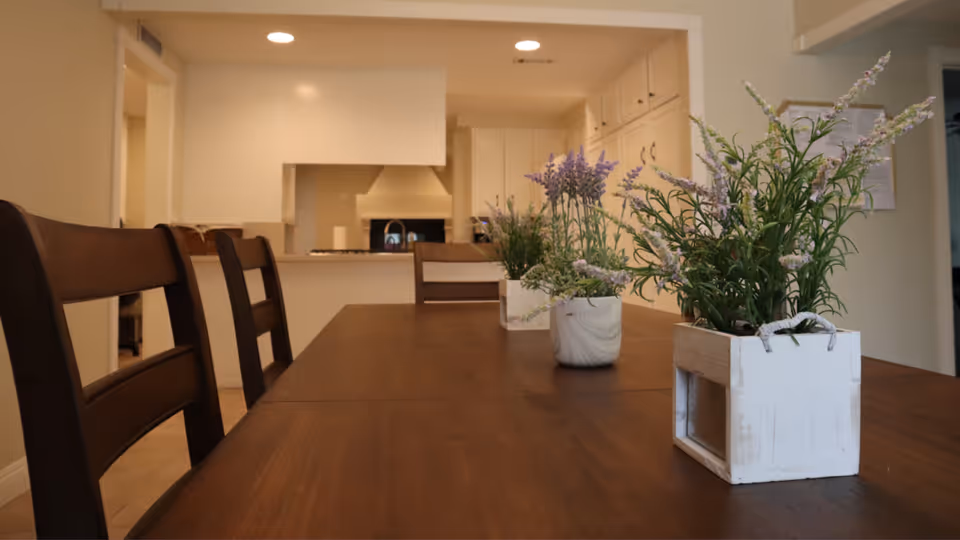 A wooden dining table with three potted plants arranged in a row on top. The table is surrounded by wooden chairs. In the background, there is a kitchen area with white cabinets and recessed lighting.