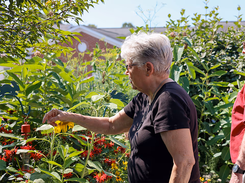 An elderly woman with short gray hair and glasses is tending to a garden filled with green plants and colorful flowers. She is wearing a black short-sleeve shirt and is reaching out to touch a sunflower. In the background, there is a brick building partially visible.