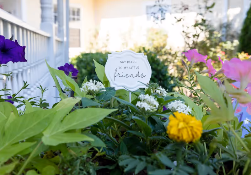 Close-up view of a garden bed with various green plants and colorful flowers including purple, pink, white, and yellow blooms. In the center, there is a small white decorative sign that reads 'Say hello to my little friends.' A white railing and part of a building are visible in the blurred background.
