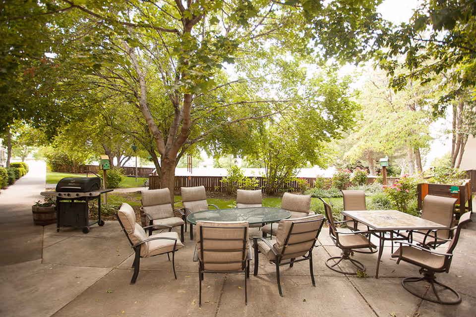 Outdoor patio area with two tables surrounded by cushioned chairs under a large tree, with a barbecue grill on the left and lush green bushes and trees in the background.