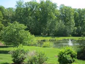 A scenic outdoor view of a green lawn with various bushes and trees surrounding a small pond with a water fountain in the center, under a clear sky.