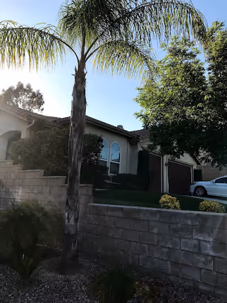 Front exterior of a single-story home with a palm tree, low stone retaining wall, driveway and a parked car.