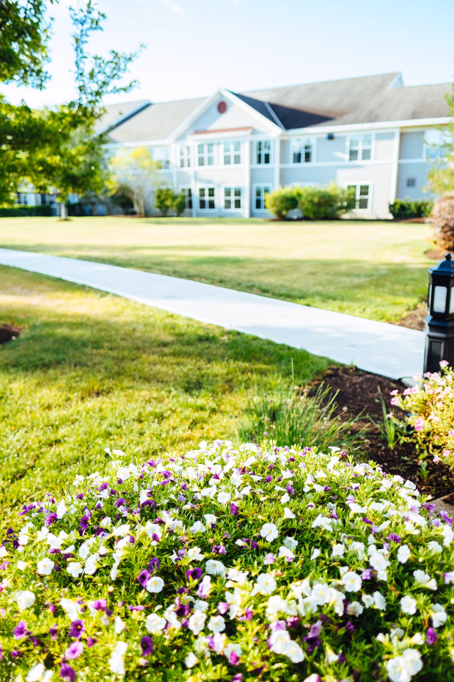 A landscaped outdoor area with a flower bed of white and purple flowers in the foreground, a concrete walkway leading towards a two-story building with multiple windows in the background, and green grass and trees surrounding the area.