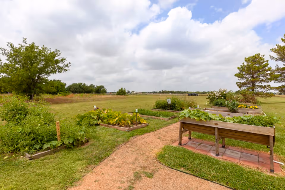 A garden area with multiple raised wooden garden beds containing various plants and flowers. A dirt path runs through the garden, surrounded by green grass and trees under a partly cloudy sky.