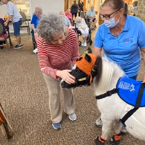 An elderly woman in a red and white striped shirt pets a small white pony wearing an orange knitted hat and blue vest inside a senior living facility. A staff member in a blue shirt and face mask holds the pony's reins. Other elderly residents are visible in the background, some seated in wheelchairs.