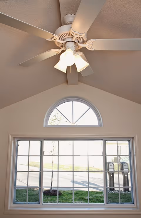 View of a white ceiling fan with lights mounted on a vaulted ceiling above a large window with multiple panes. Outside the window, there is a grassy area, a tree, and two parking meters visible.