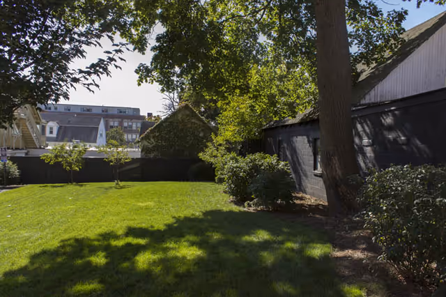 A sunlit grassy yard with trees, shrubs, and a dark-sided outbuilding along the right side, with neighboring buildings visible in the background.