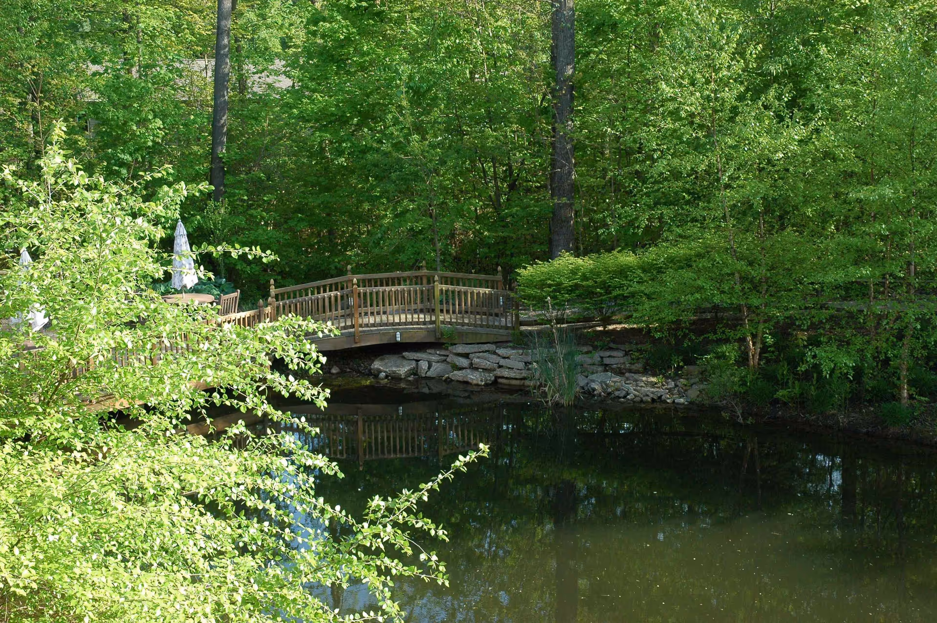A serene outdoor scene featuring a small wooden footbridge over a pond surrounded by lush green trees and bushes, with a few patio tables and umbrellas partially visible behind the foliage.