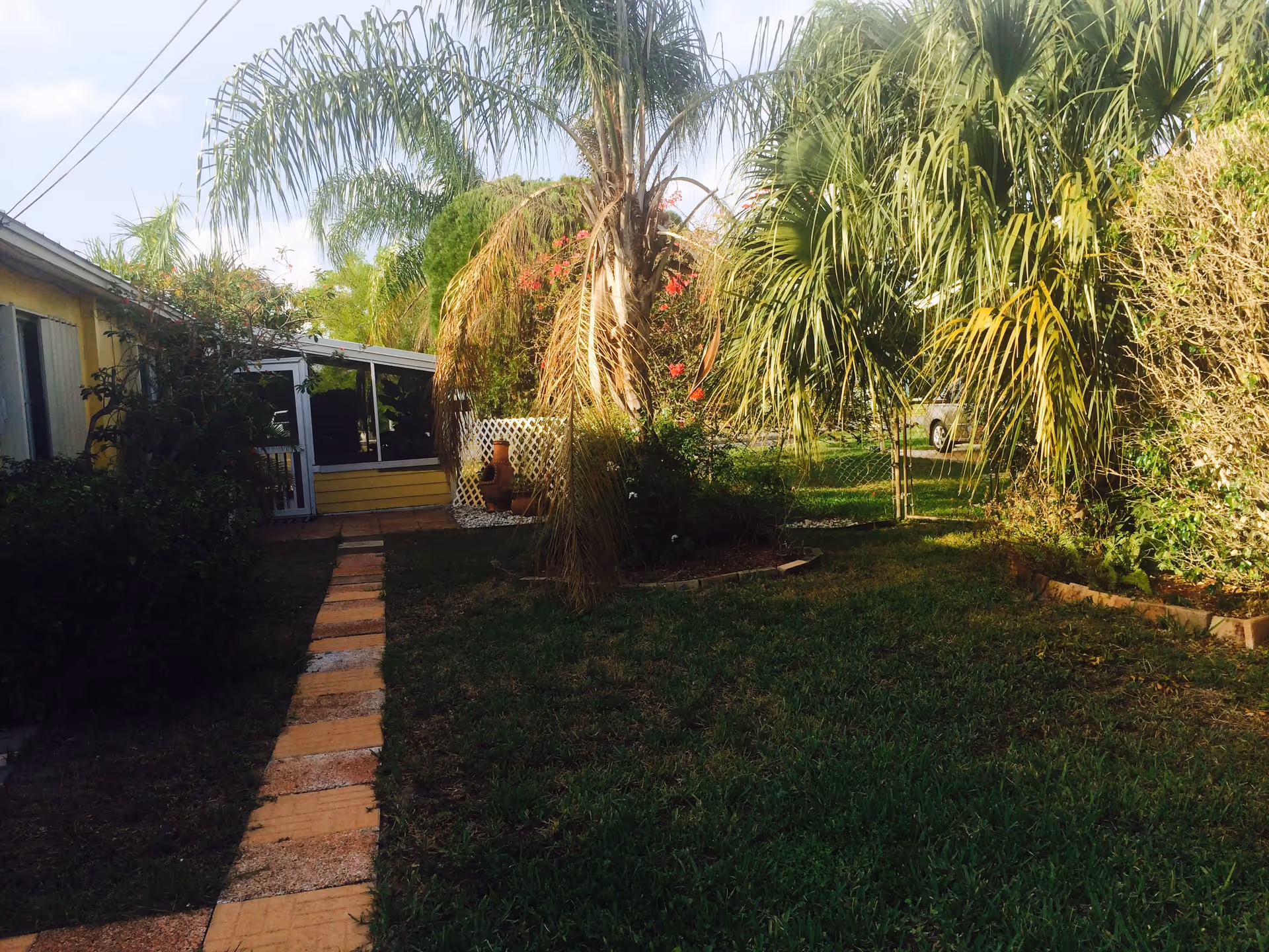 A garden area with a narrow brick pathway leading to a yellow building with a screened porch. The garden is lush with green grass, palm trees, and various shrubs and plants. A white lattice panel and a clay chiminea are visible near the porch. A car is partially visible in the background behind a chain-link fence.