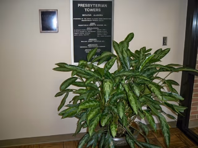 Indoor scene showing a large green leafy plant in a pot placed on a tiled floor in front of a beige wall. On the wall behind the plant, there is a black plaque with white text titled 'Presbyterian Towers' and some additional information below it. To the left of the plaque, there is a small framed object, and to the right, a light switch is visible.
