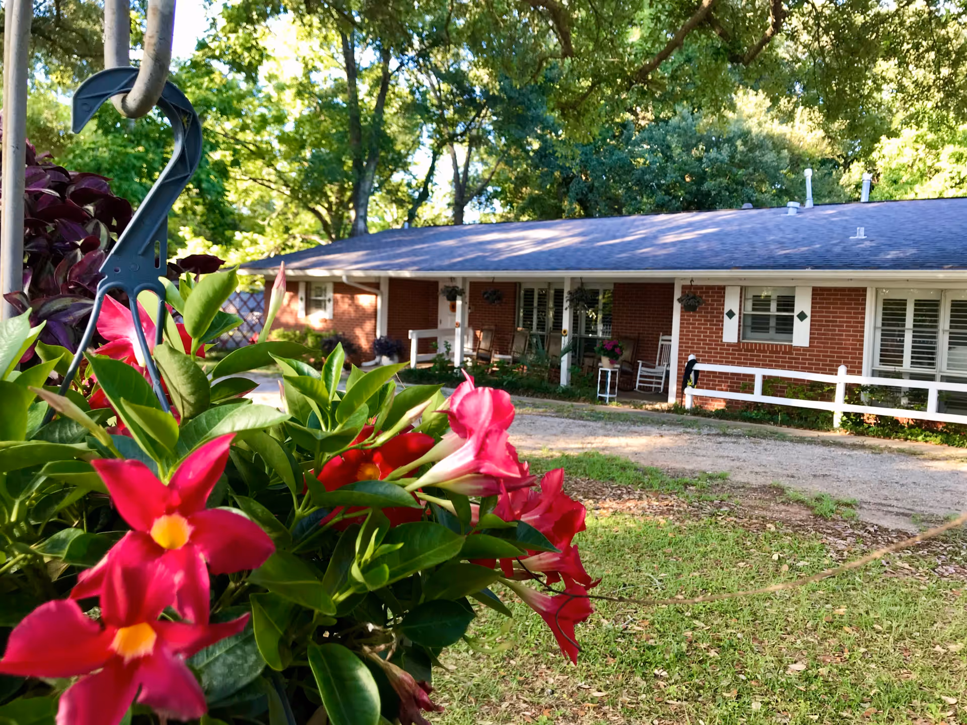 A single-story brick building with a covered porch featuring rocking chairs and hanging plants, surrounded by green trees and a grassy yard. In the foreground, there is a close-up of vibrant pink flowers with green leaves.