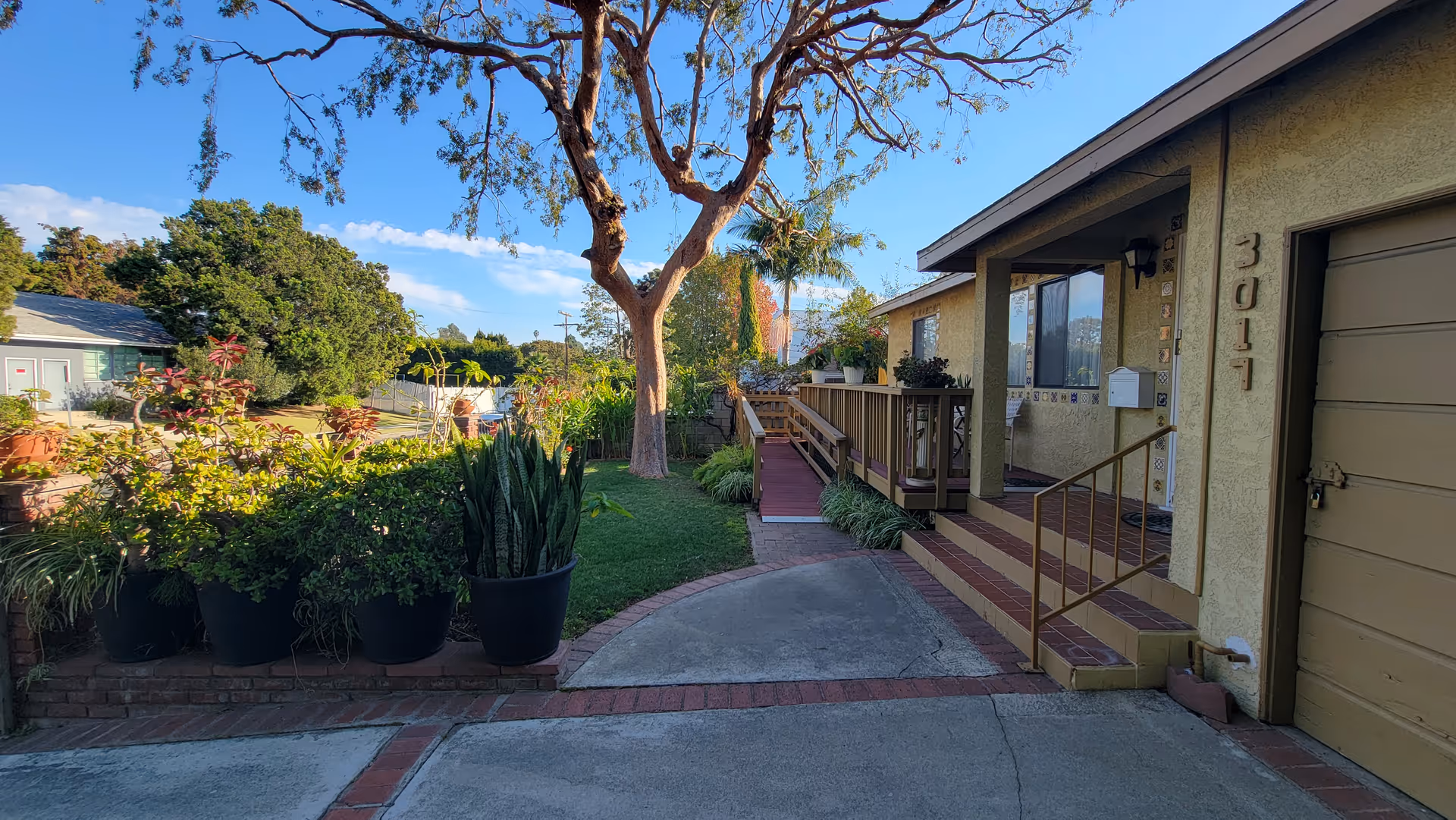 Front entrance of a single-story residence with a ramp and steps, potted plants, driveway, and a large tree.