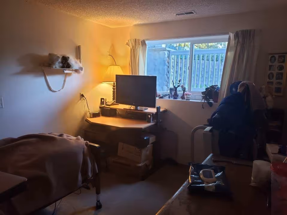 A dimly lit room with a bed covered by a blanket on the left side, a corner desk with a computer monitor and speakers, a lamp, and some boxes underneath. There is a window with white curtains letting in natural light, and some potted plants on the windowsill. A chair with clothes draped over it is on the right side, and a small shelf with stuffed animals is mounted on the wall.