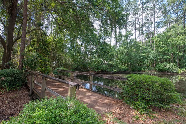 A wooden footbridge over a small pond surrounded by lush green trees and bushes in a serene outdoor setting.