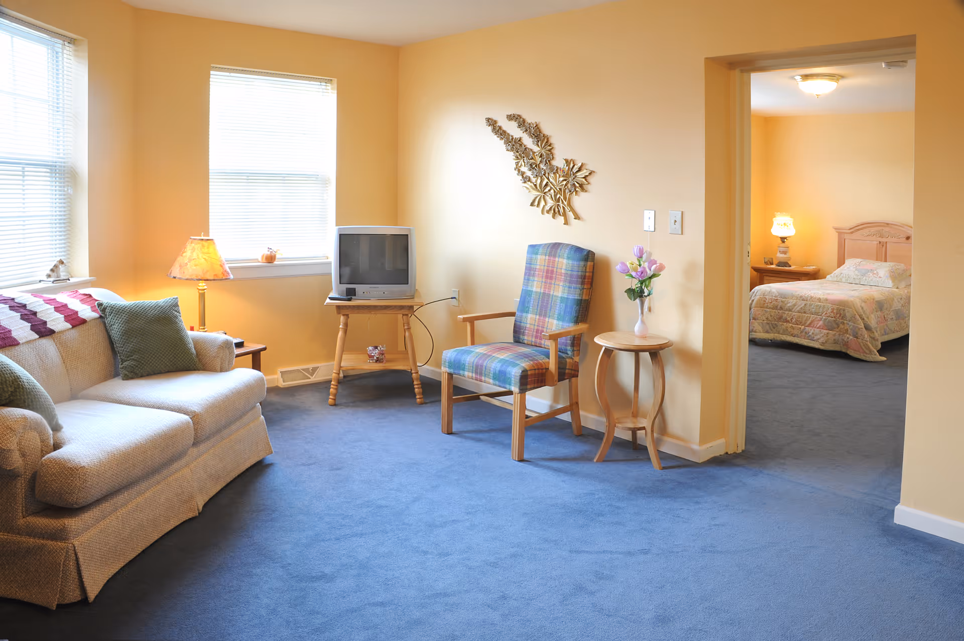 Bright living room with blue carpet, a sofa, patterned armchair, small TV on a stand, and a view into a bedroom.