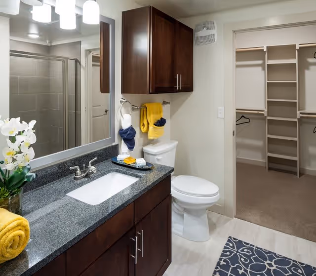 A clean and modern bathroom with a dark granite countertop, a white sink, a large mirror with three lights above it, a toilet, and dark wood cabinets. There are yellow and navy blue towels hanging on the wall and placed on the counter. A white orchid plant is on the counter. The bathroom opens into a walk-in closet with built-in shelves and hanging rods.