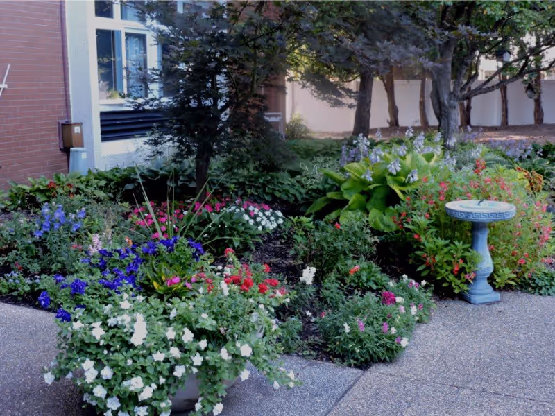 A colorful garden area with various blooming flowers including white, purple, pink, and red blossoms. There is a blue birdbath on the right side and a brick building wall with windows on the left. Trees and a white fence are visible in the background.