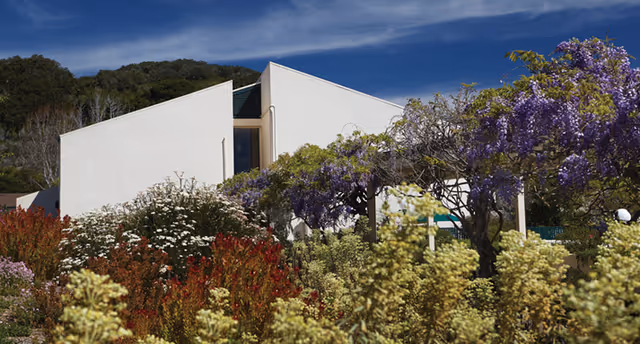 Modern white building partially obscured by lush garden with various flowering plants including purple wisteria and other colorful shrubs under a clear blue sky.