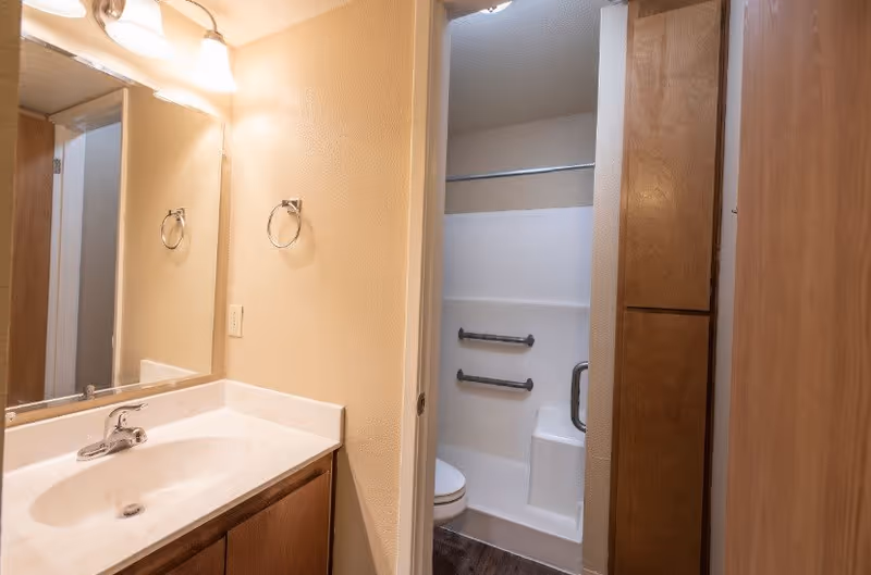 Bathroom with a white sink and countertop, wooden cabinetry, a large mirror above the sink, and a light fixture with three bulbs. The bathroom also features a toilet and a shower area with grab bars and a built-in seat, visible through an open door.