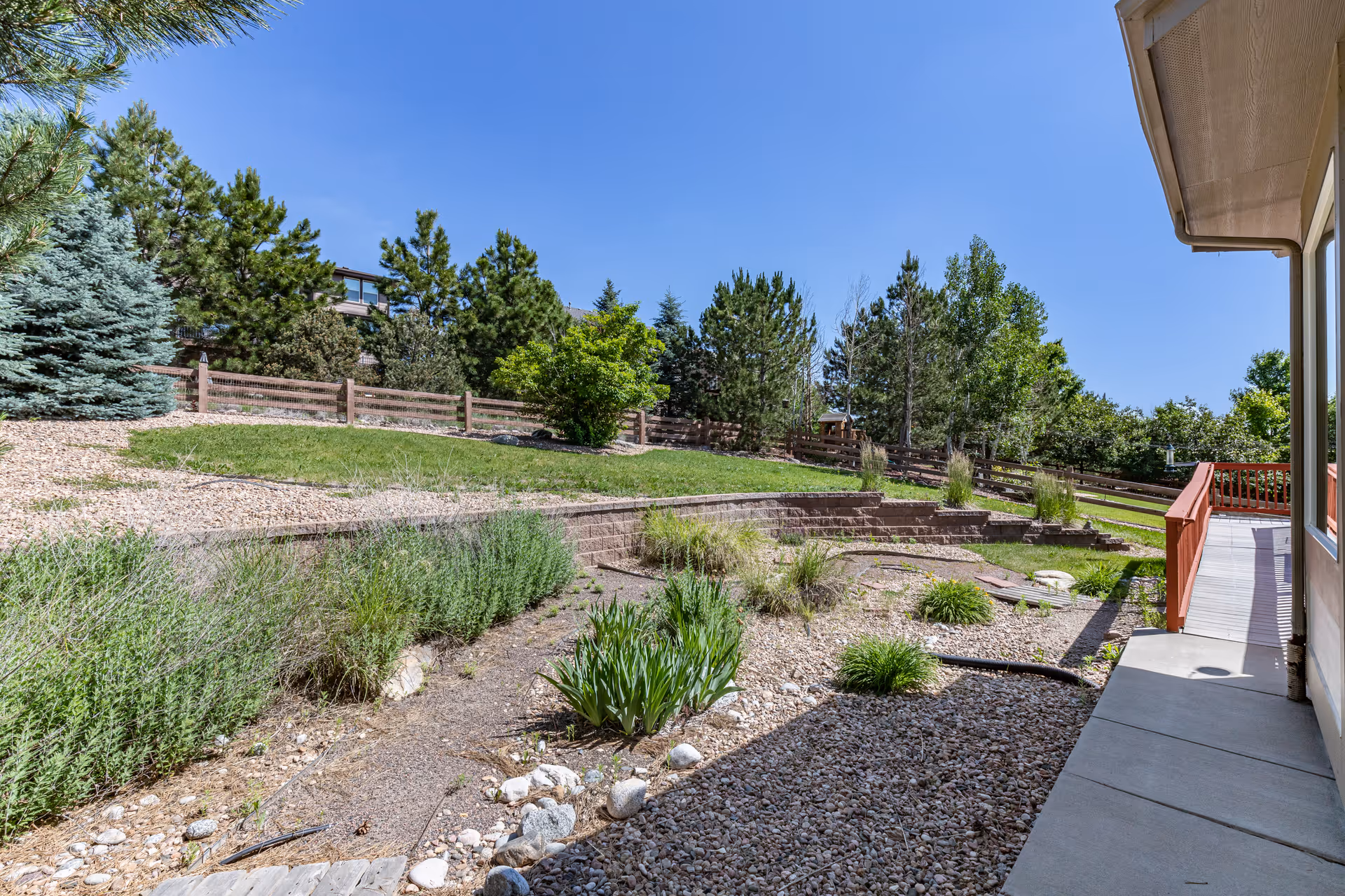 Outdoor garden area with a variety of green plants, shrubs, and trees under a clear blue sky. There is a wooden fence along the back and a concrete walkway with a red railing on the right side of the image.