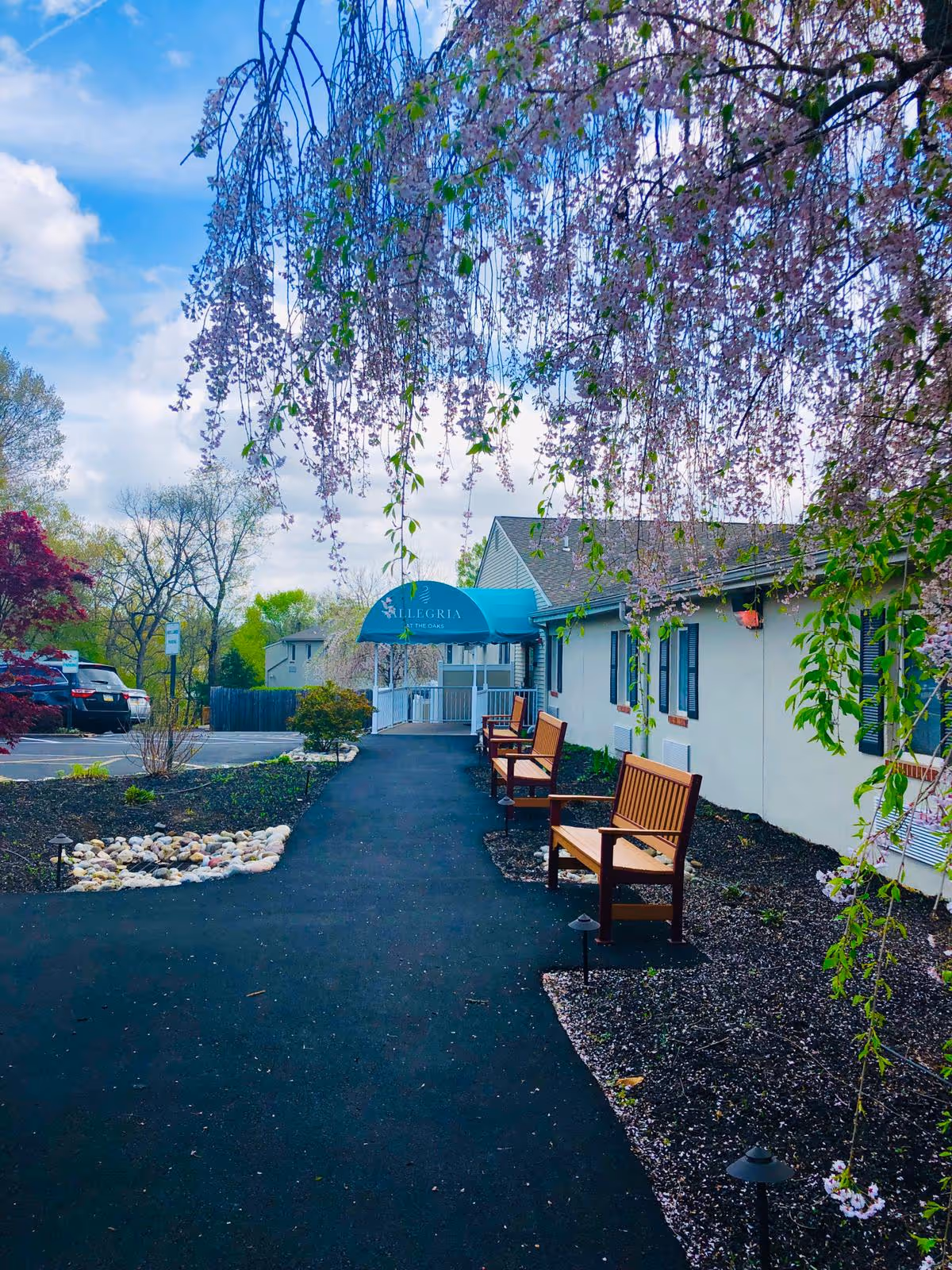 A paved walkway lined with wooden benches and flowering tree branches leads to the entrance of Allegria at The Oaks with a blue canopy.