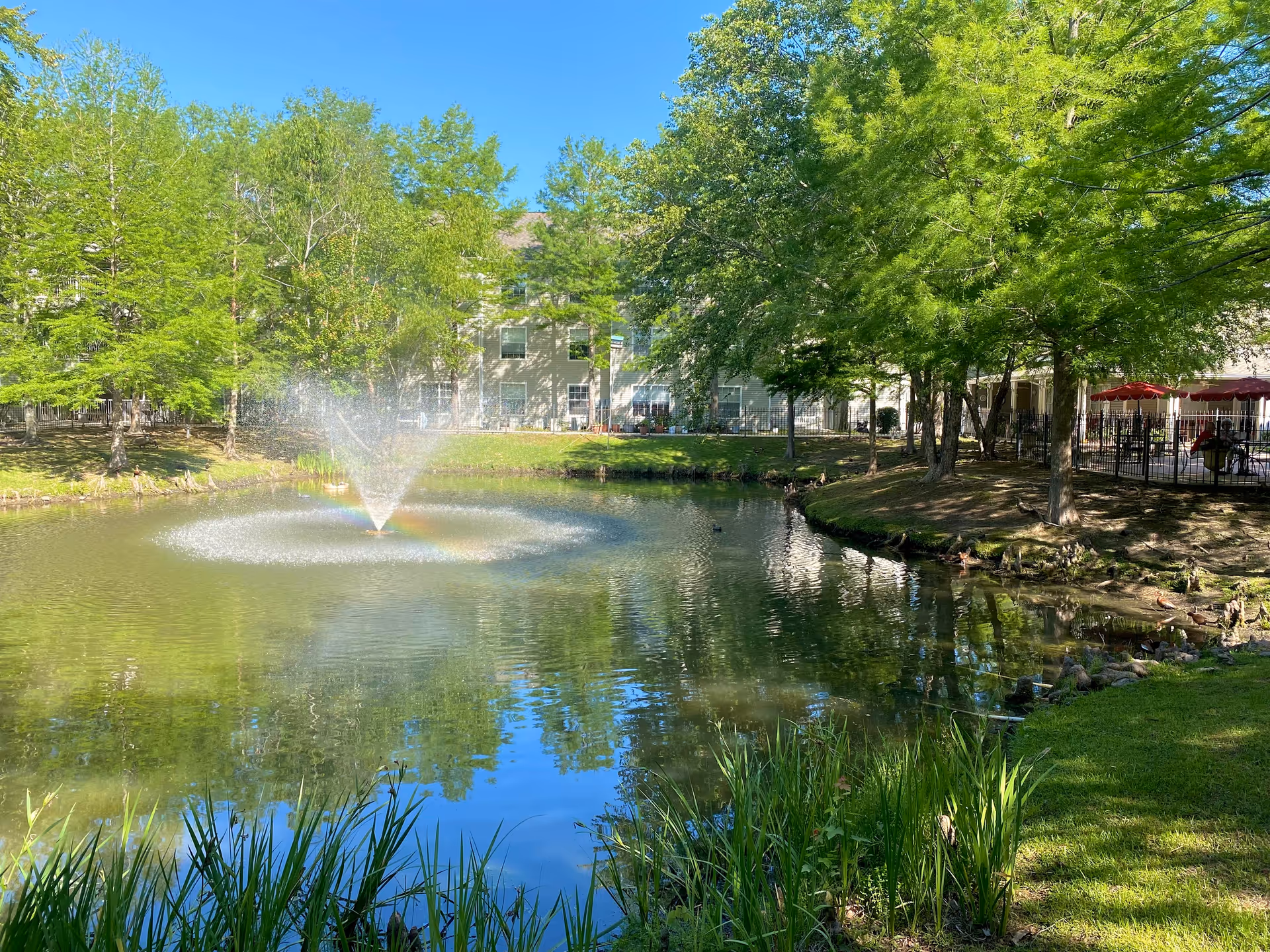 A serene outdoor scene at The Windsor Senior Living Community featuring a pond with a water fountain spraying water upwards, creating a small rainbow. The pond is surrounded by green grass, tall trees, and a building in the background. There are also some ducks near the water's edge and a patio area with red umbrellas and seating on the right side.