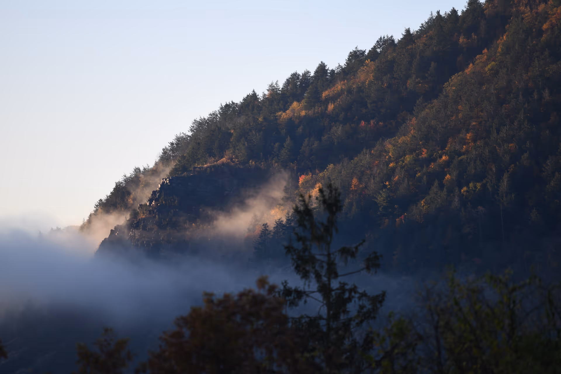 Fog and mist drifting through a forested mountainside at sunrise.