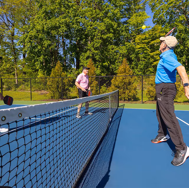 Two elderly men playing pickleball on an outdoor court surrounded by trees and greenery on a sunny day. One man in a blue shirt is jumping to hit the ball with a paddle, while the other man in a pink shirt is ready on the opposite side of the net.