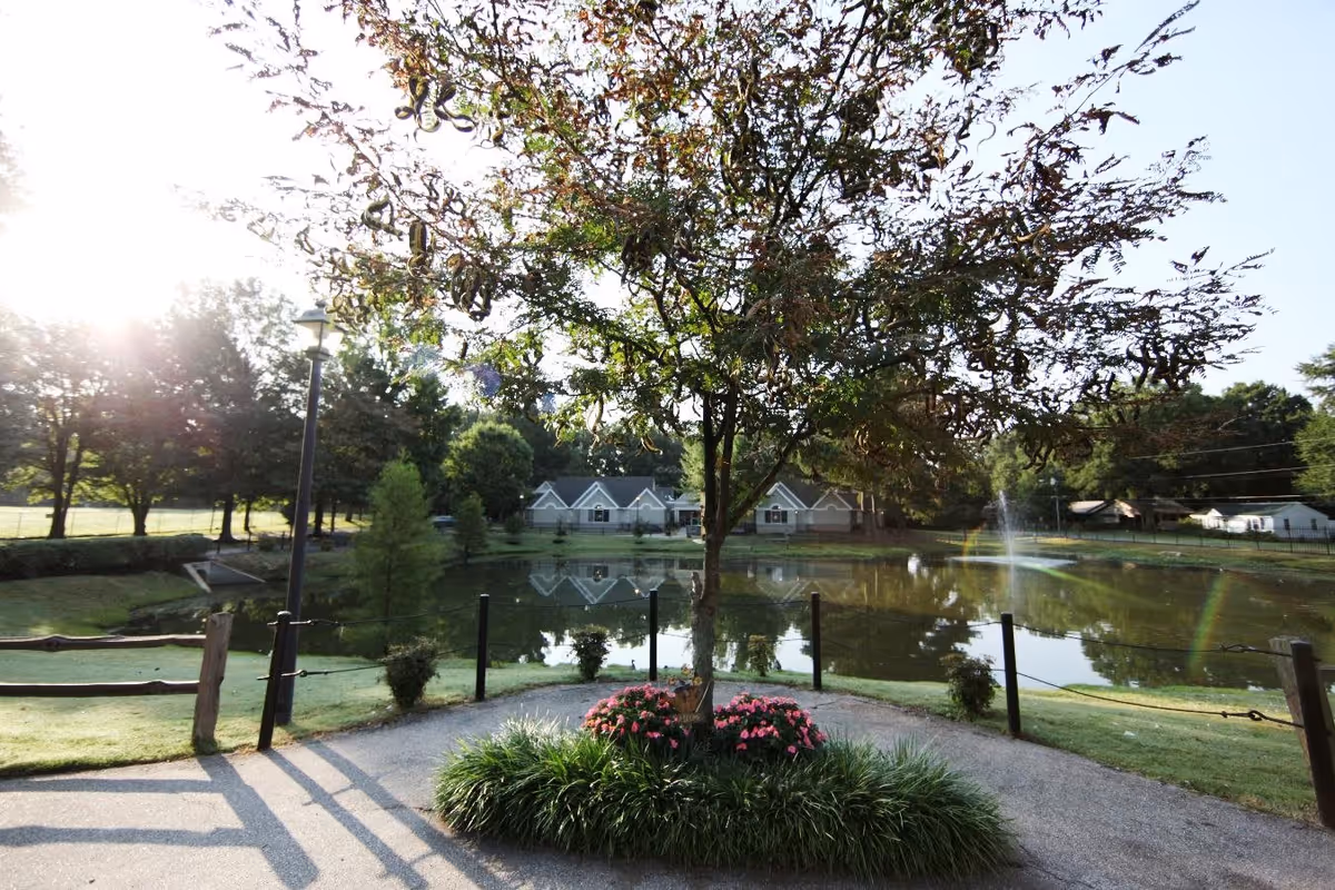A serene outdoor scene featuring a small pond with a fountain in the middle, surrounded by greenery and trees. In the foreground, there is a tree with a flower bed of pink flowers and green plants at its base. A wooden fence and a lamppost are visible along the pathway near the pond. Residential buildings are reflected in the pond water under a bright sky with sunlight filtering through the trees.